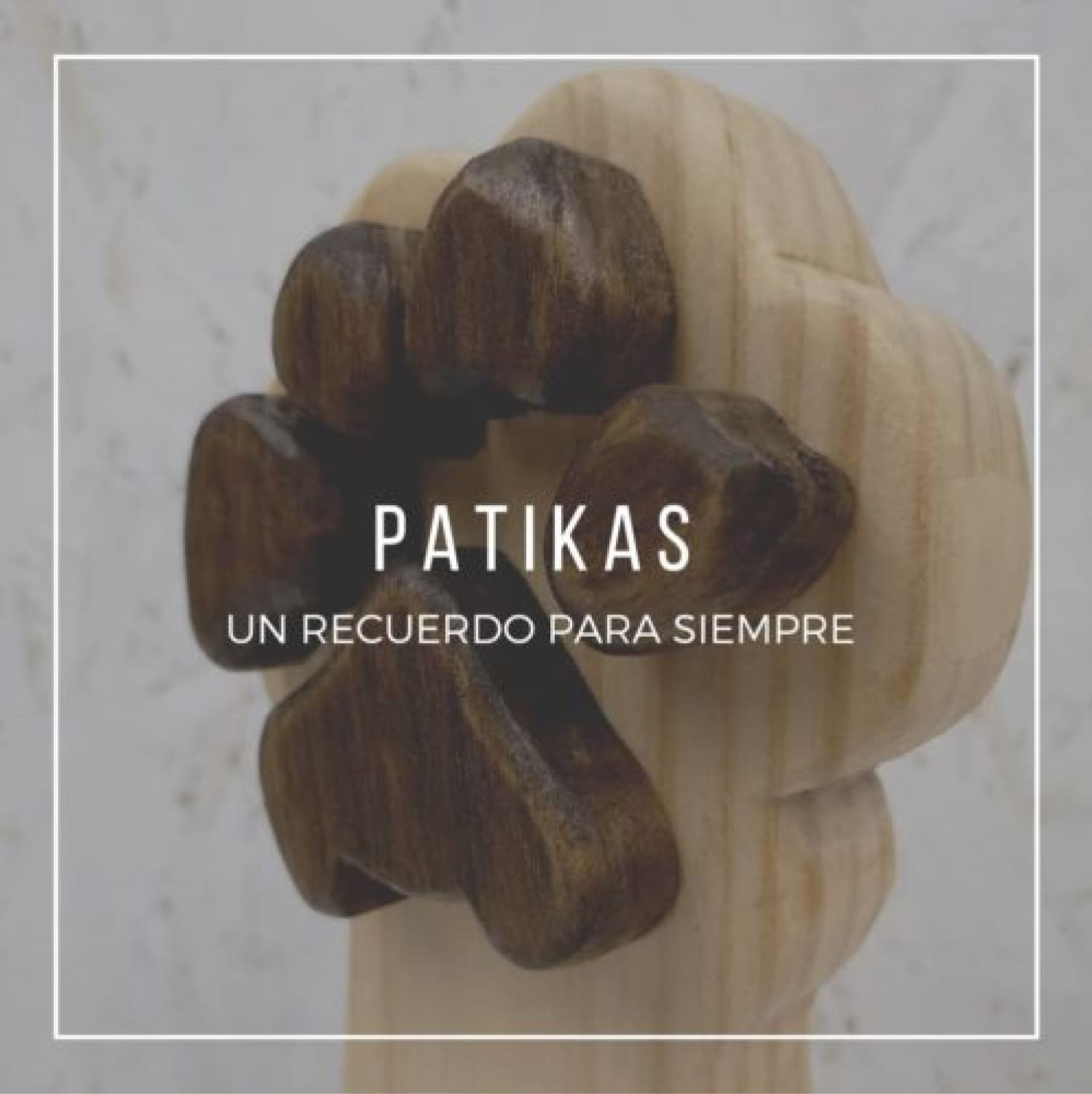 Img producto 5