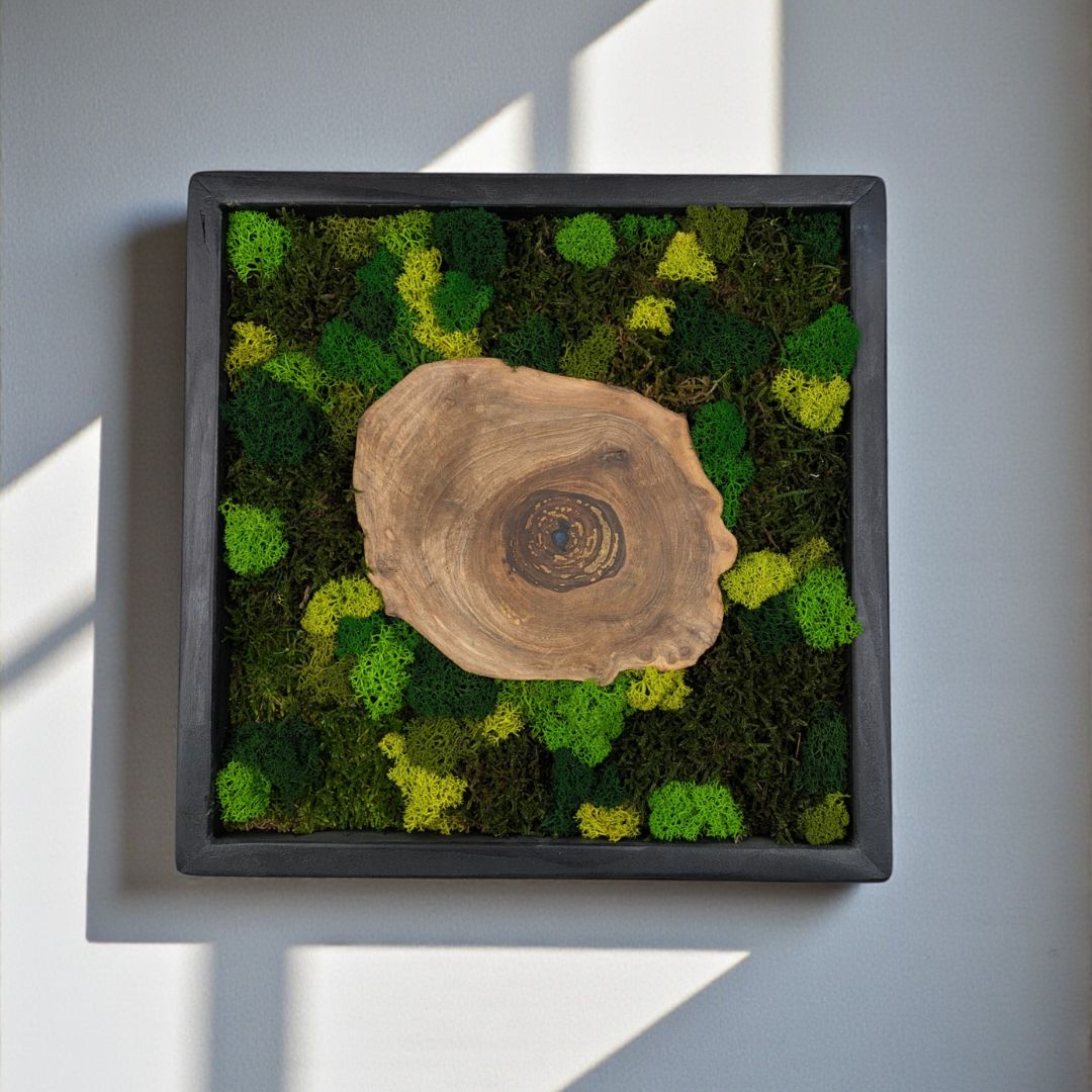 CUADROS ESPECIALES MUSGO PRESERVADO