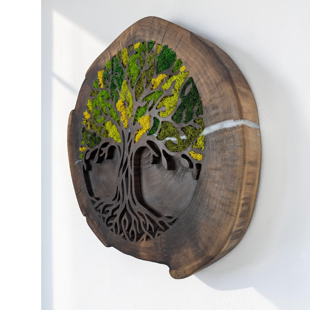 RODAJA NOGAL ÁRBOL DE LA VIDA MUSGO PRESERVADO